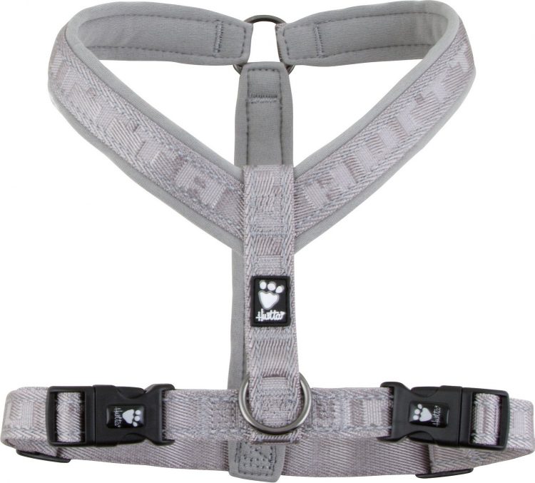 How To Put A Dog Harness? Types Of Dog Harness