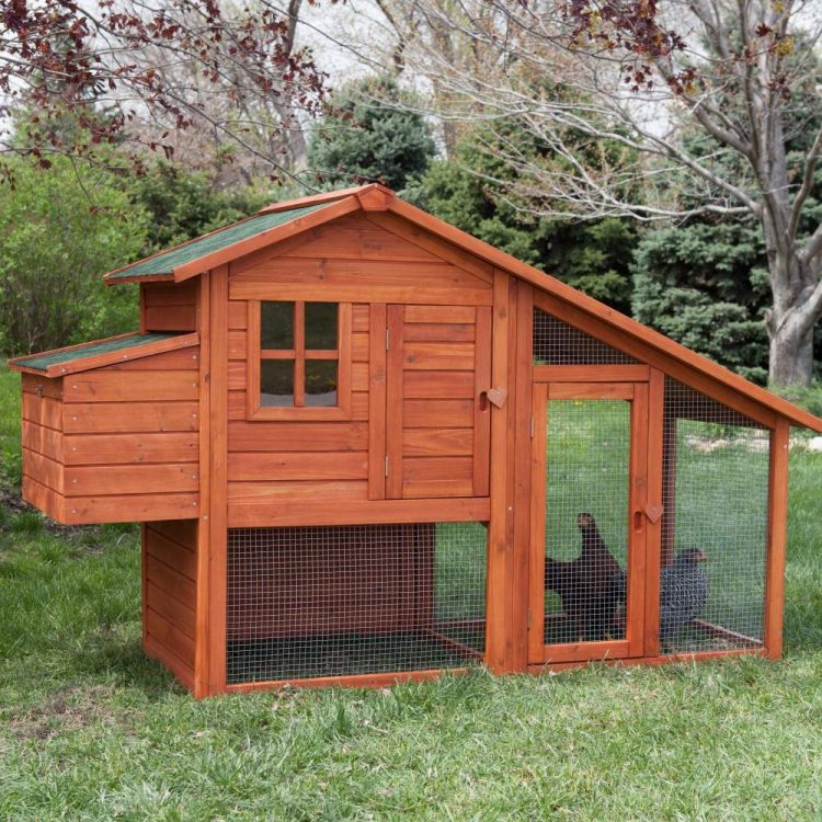 The Best Chicken Coops