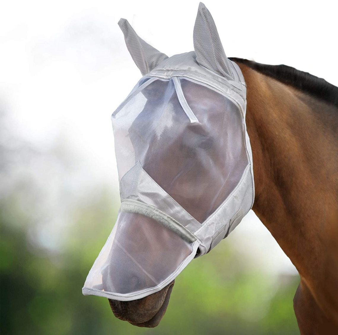 Keep Your Horses Healthy And Protect Flys Insects In The Summer