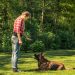 5 Foundational Dog Training Tips for Beginners