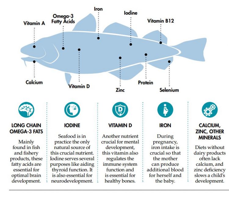 California Fish Grill Menu, Location & Nutrition [2024]