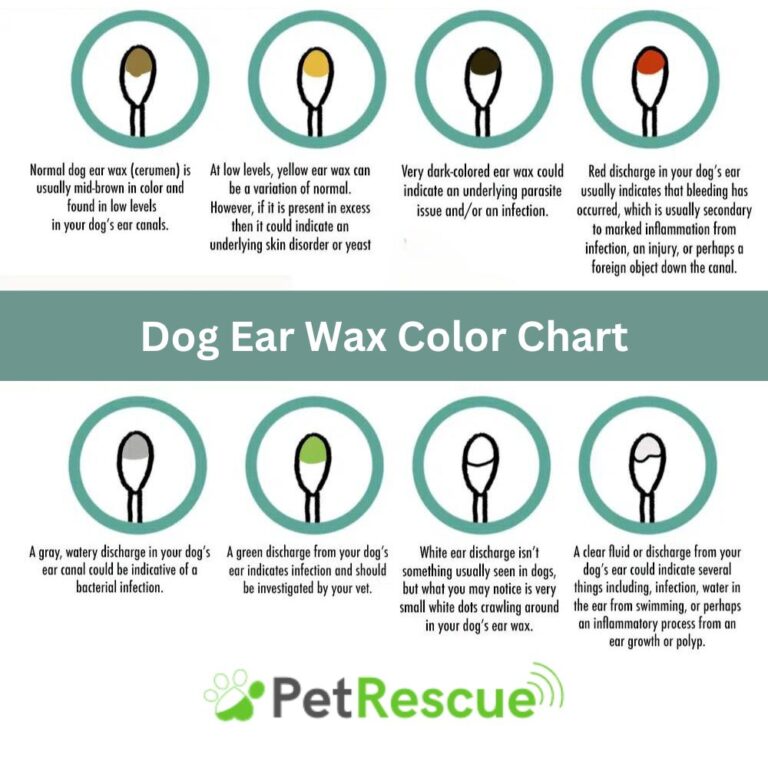 Dog Ear Wax Color Chart