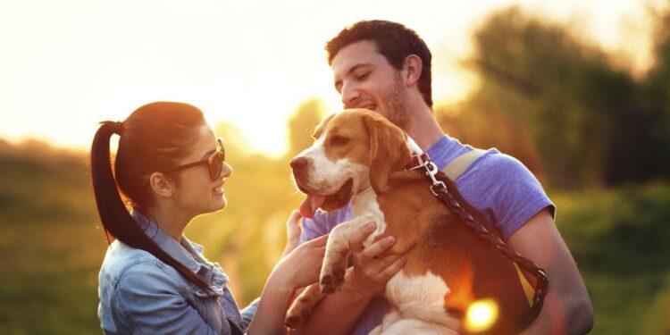Date Ideas for Dog Owners