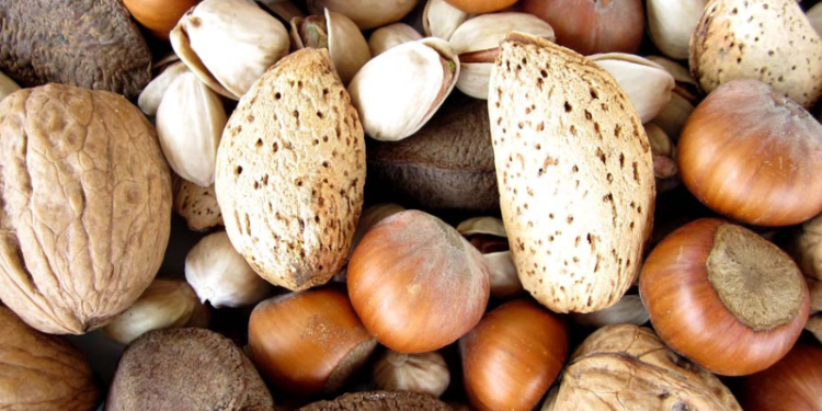 Nuts as treats in a nutshell 