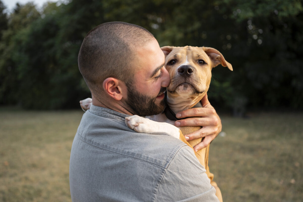 The Guide To A Well-Behaved Pitbull Puppy