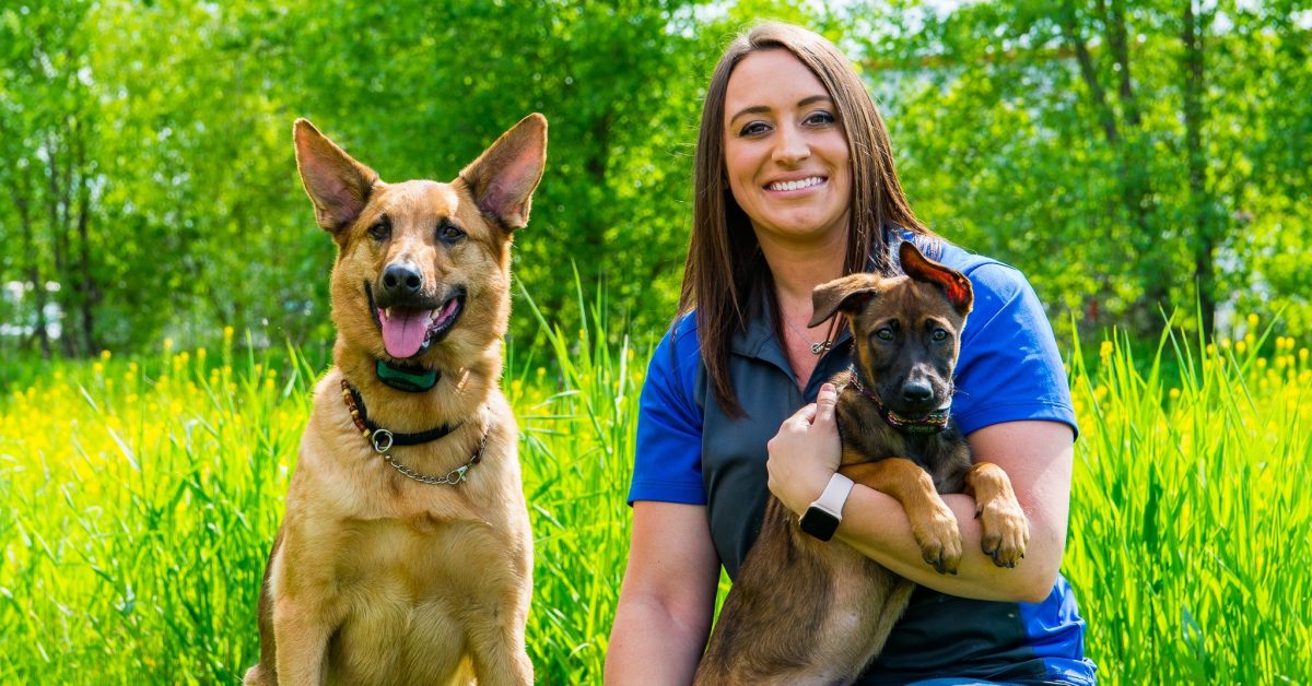 Dog Training in Madison